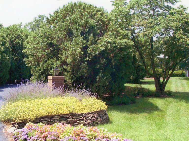 Landscape Designing Services in Warrenton, Virginia.